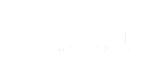 logo_nuup